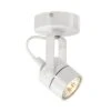 SLV Spot 79 Spotlight - White