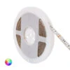 5M IP65 12V DC RGB LED Strip -LumiCraft Sales Store E11204 01