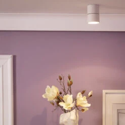 Edit Onuba 7W Cool White LED Ceiling Spotlight - White -LumiCraft Sales Store E2074 003