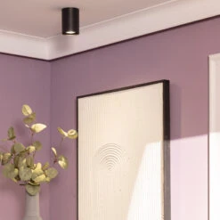 Edit Quartz Flush Ceiling Light - Black -LumiCraft Sales Store E2732 002