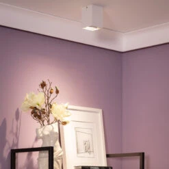 Edit Jasper Flush Ceiling Spotlight - White -LumiCraft Sales Store E2734 002