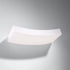 Sollux Hattor Wall Light 300mm - White