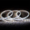 8M IP65 220V AC Daylight White LED Strip Kit
