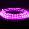 5M IP65 220V AC Purple LED Strip Kit