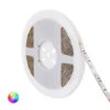 5m RGB 24V DC LED Strip 60LED/m 10mm Wide IP65 Cut At Every 10cm